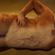 Illustration for article titled You Didn't Hate the Cats Trailer, You're Just Confused